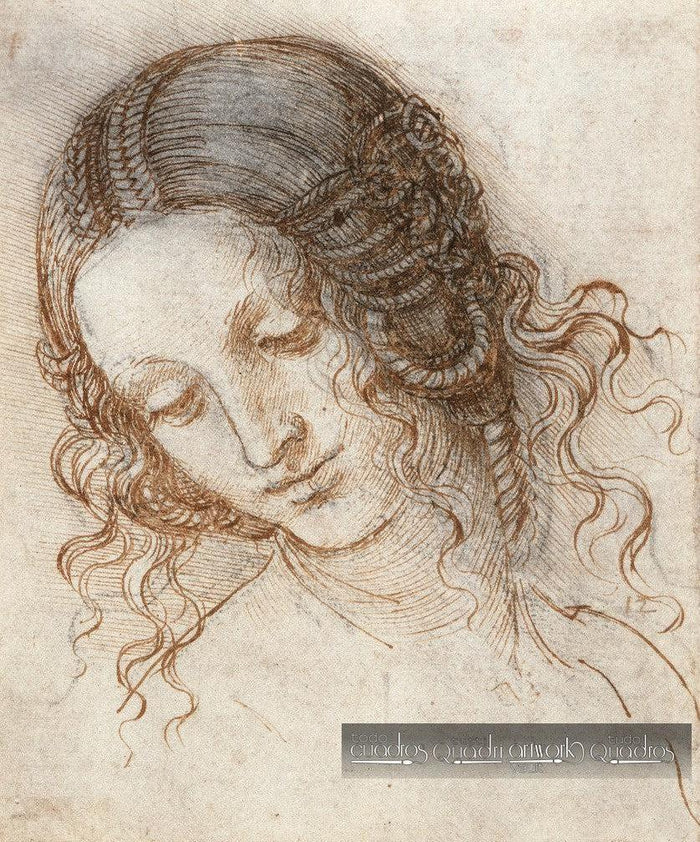 Cabeça de Leda, Leonardo da Vinci