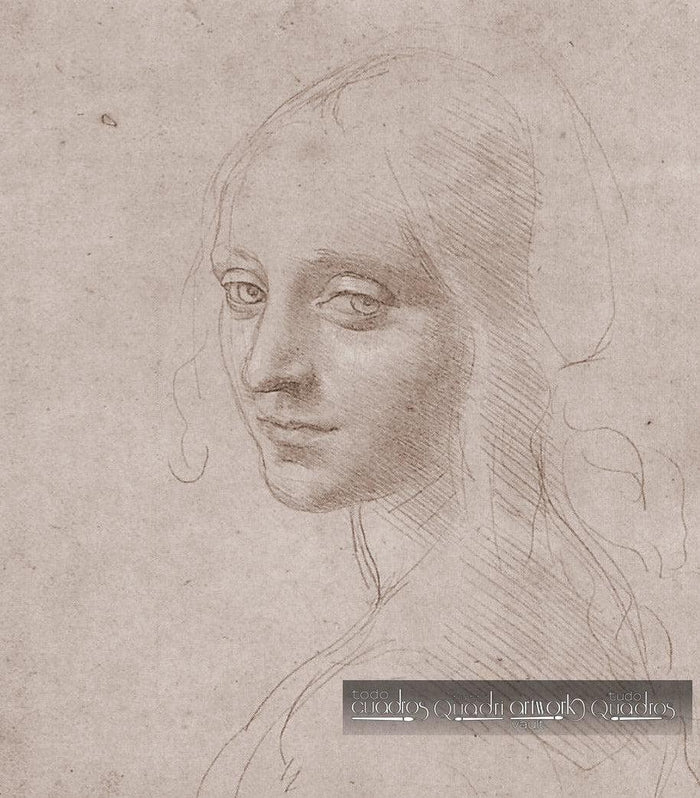 Retrato de rapariga (estudo para o rosto do anjo da Virgem das Rochas), Leonardo da Vinci