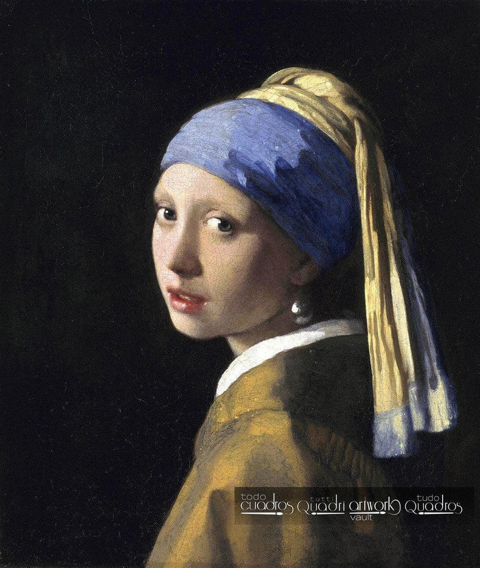 Meisje met de parel, Vermeer