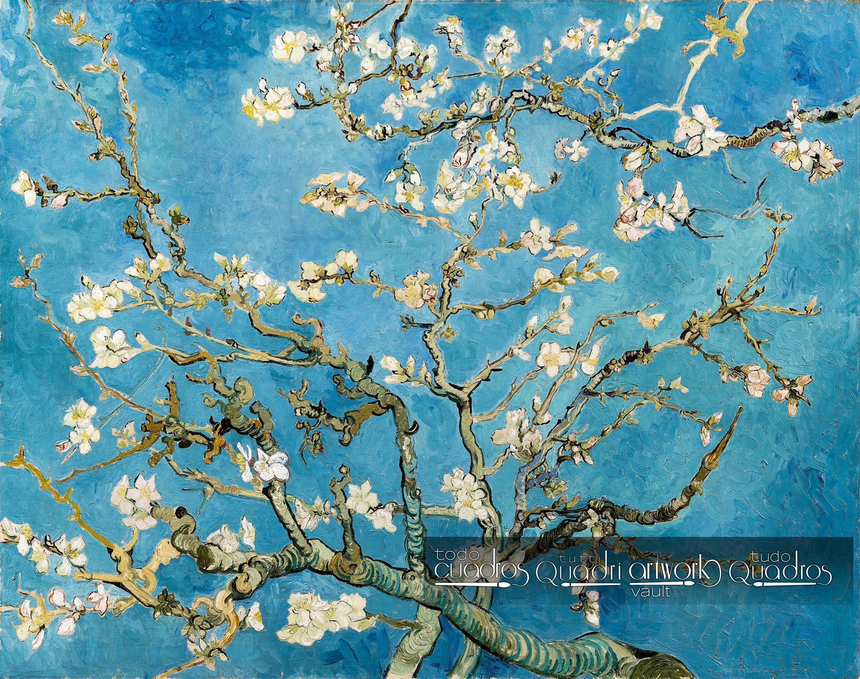 Amendoeira em Flor, Van Gogh