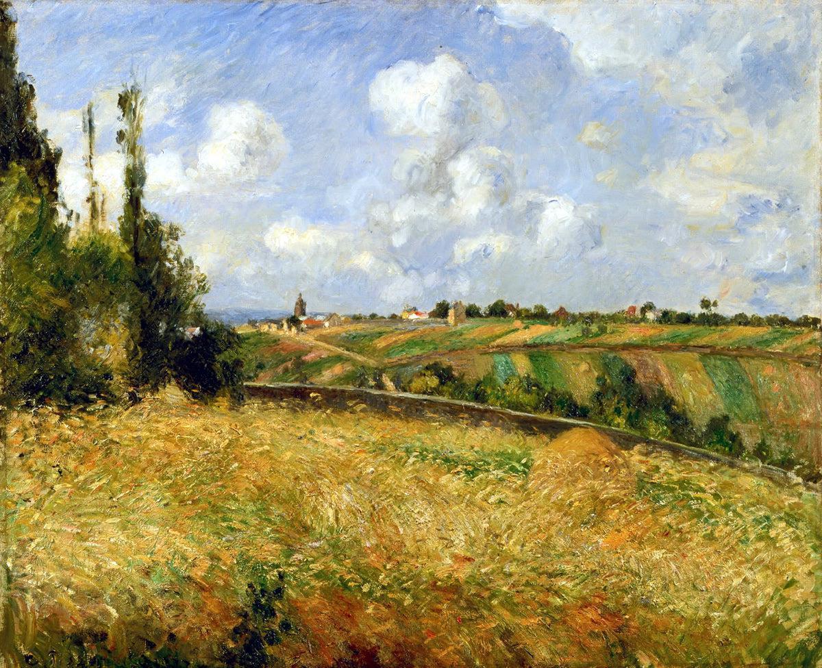 Um Campo de Centeio, Pissarro