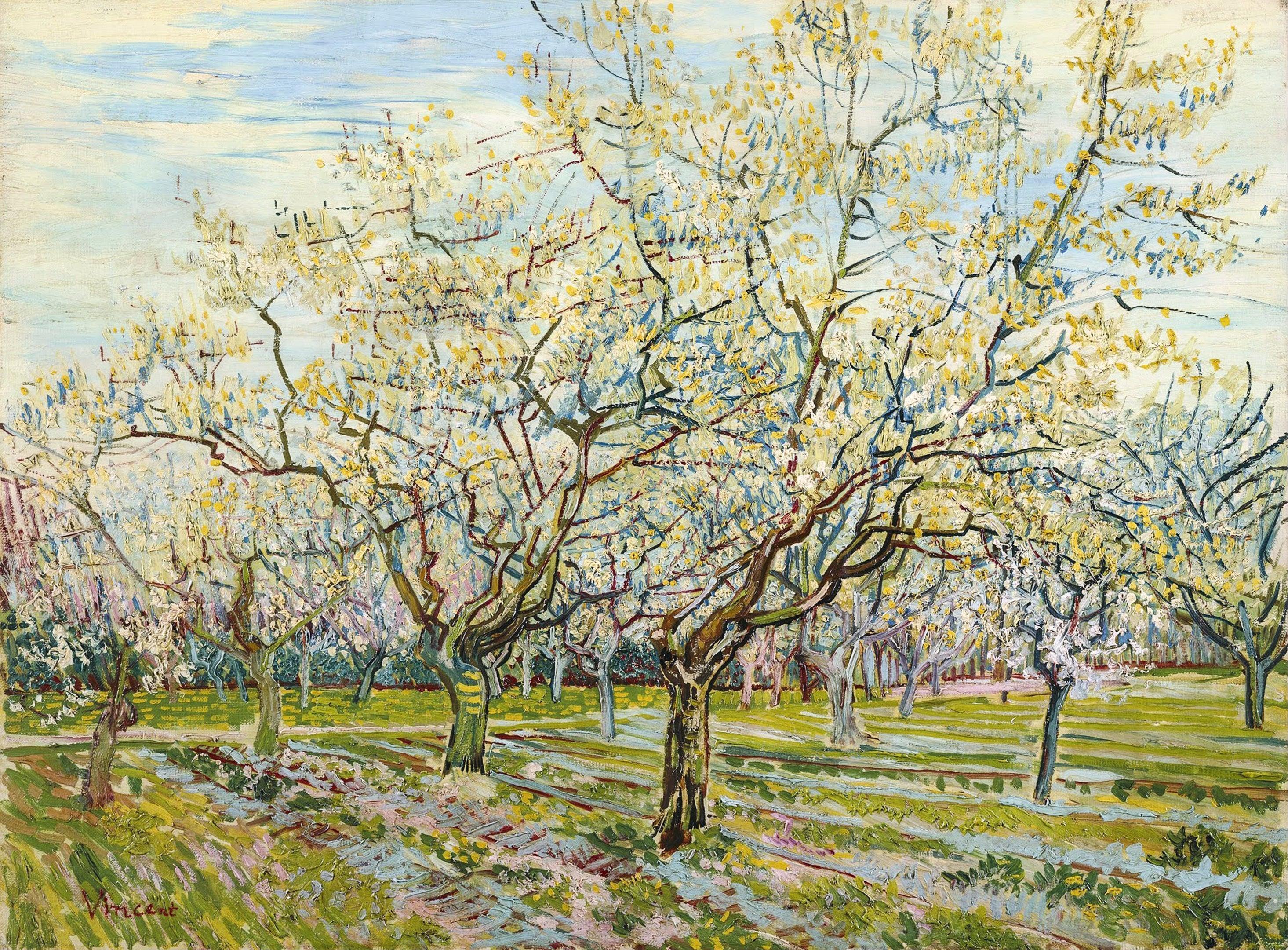O pomar branco, Van Gogh